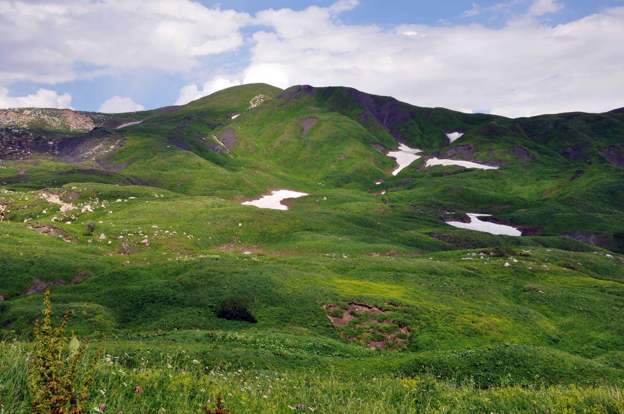 Гузерипльский перевал, image of landscape/habitat.