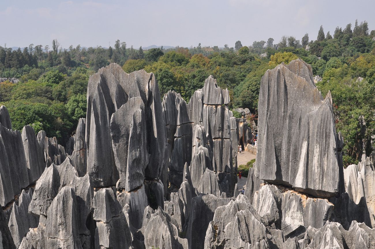 Каменный лес Шилинь, image of landscape/habitat.