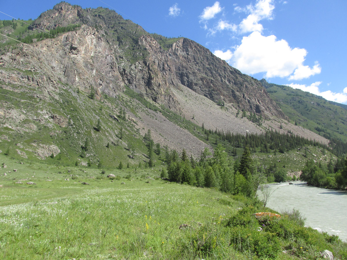 Долина реки Чуя, среднее течение, image of landscape/habitat.