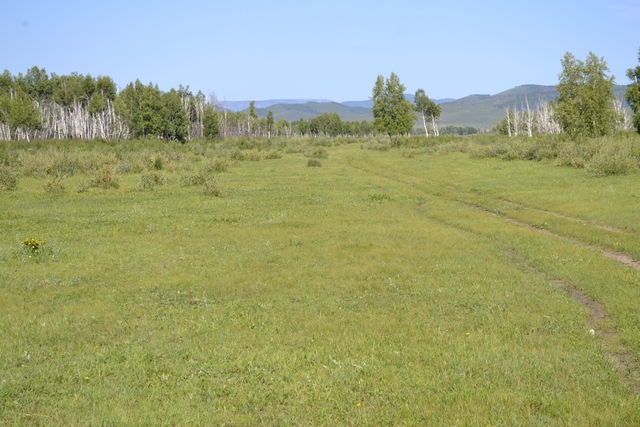 Река Курулга и гора Ундур, image of landscape/habitat.