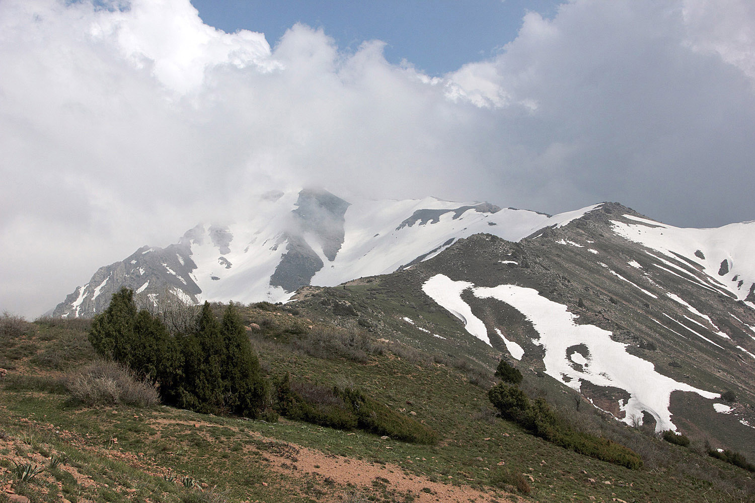 Западный гребень Бол. Чимгана, image of landscape/habitat.