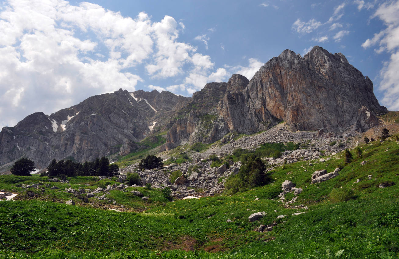 Гузерипльский перевал, image of landscape/habitat.