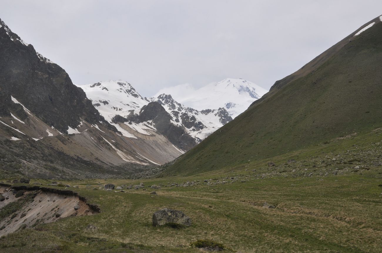 Урочище Экяра, image of landscape/habitat.