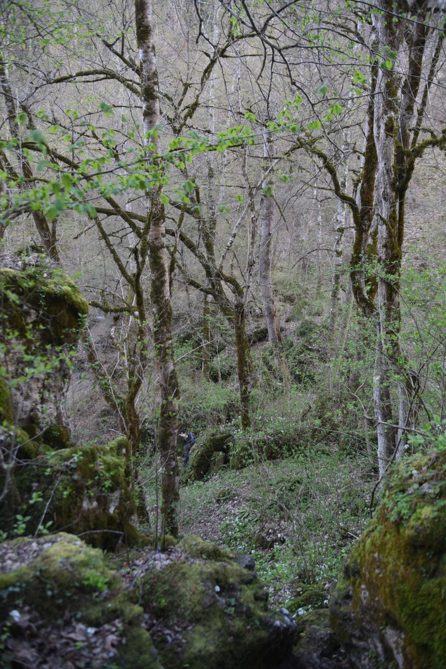 Окрестности скалы Парус, image of landscape/habitat.