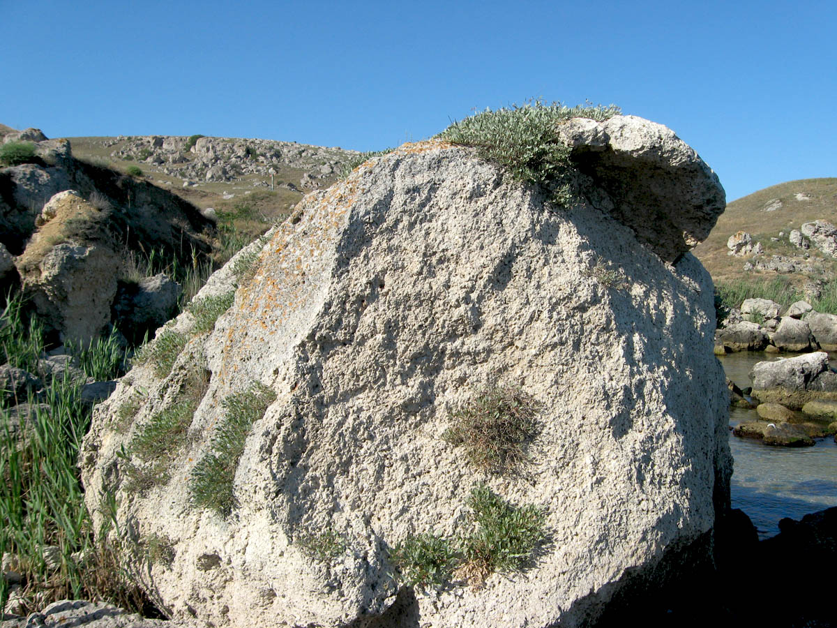 Казантип, image of landscape/habitat.