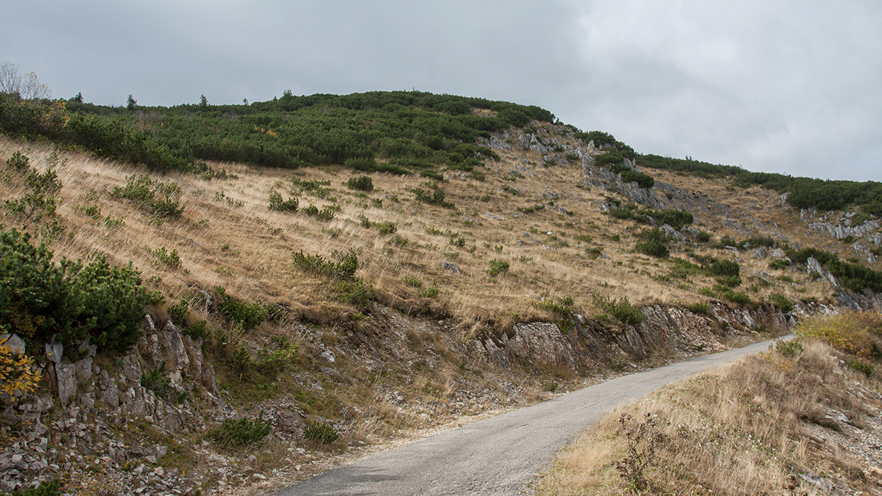 Дурмитор, image of landscape/habitat.