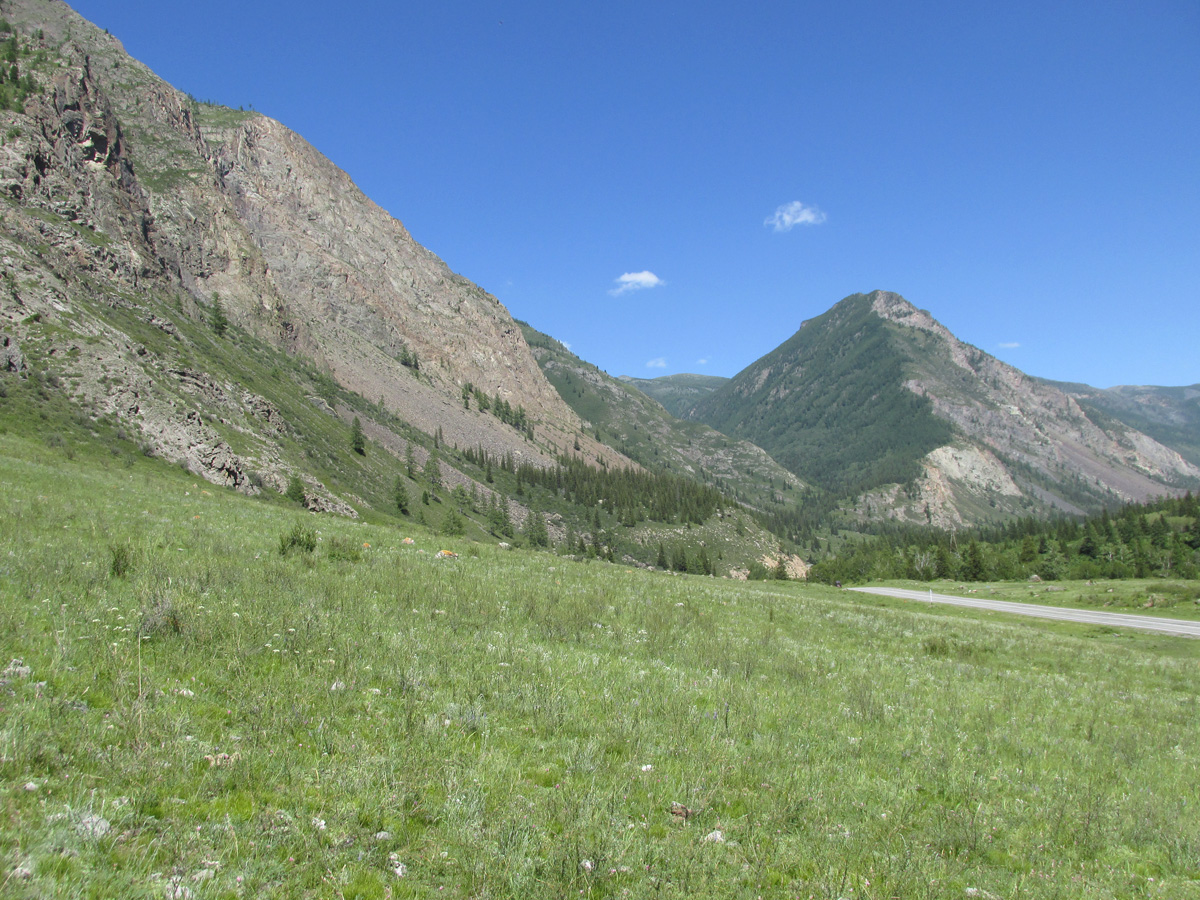 Долина реки Чуя, среднее течение, image of landscape/habitat.