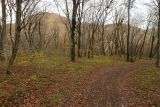 Херсонка, image of landscape/habitat.