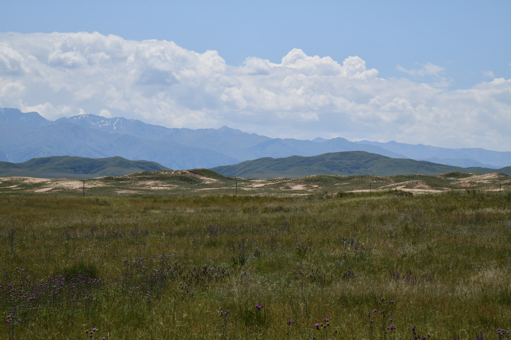 Кум-Текей, image of landscape/habitat.