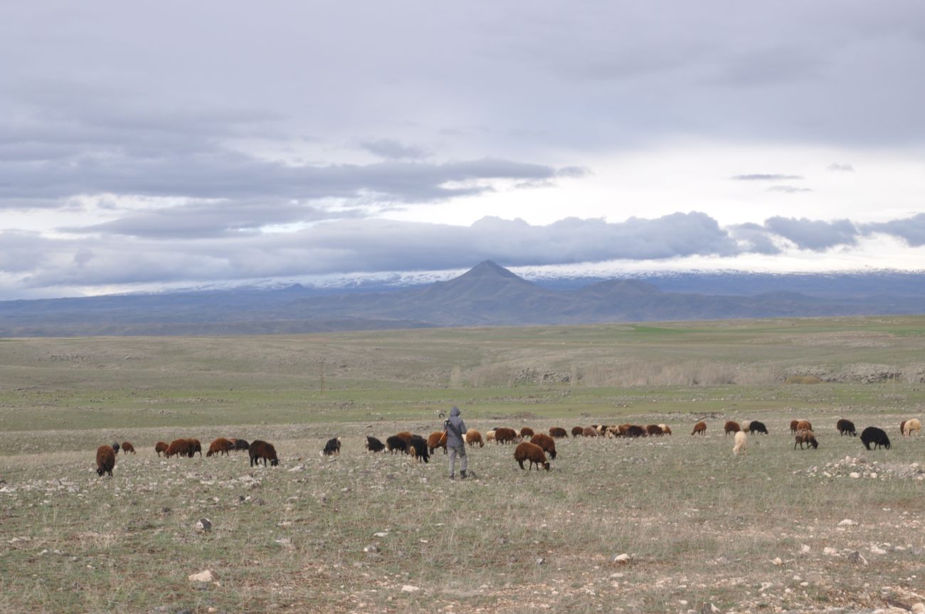 Дюзгечит, image of landscape/habitat.