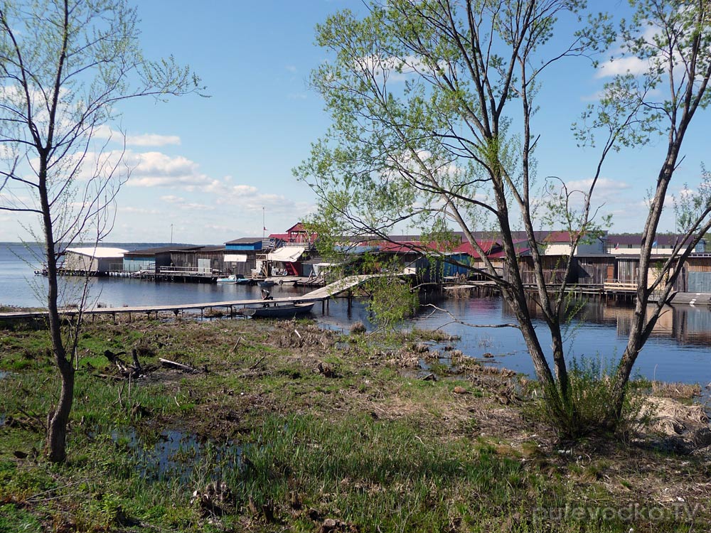 Дубна, image of landscape/habitat.