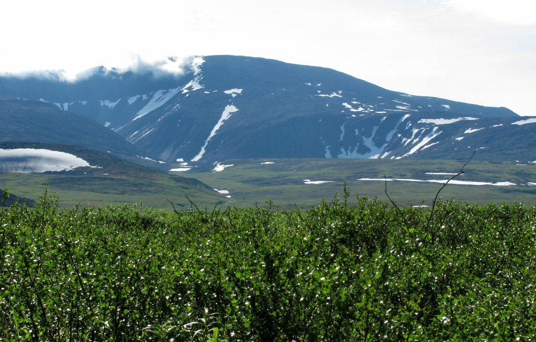 Верховья Нияю, image of landscape/habitat.