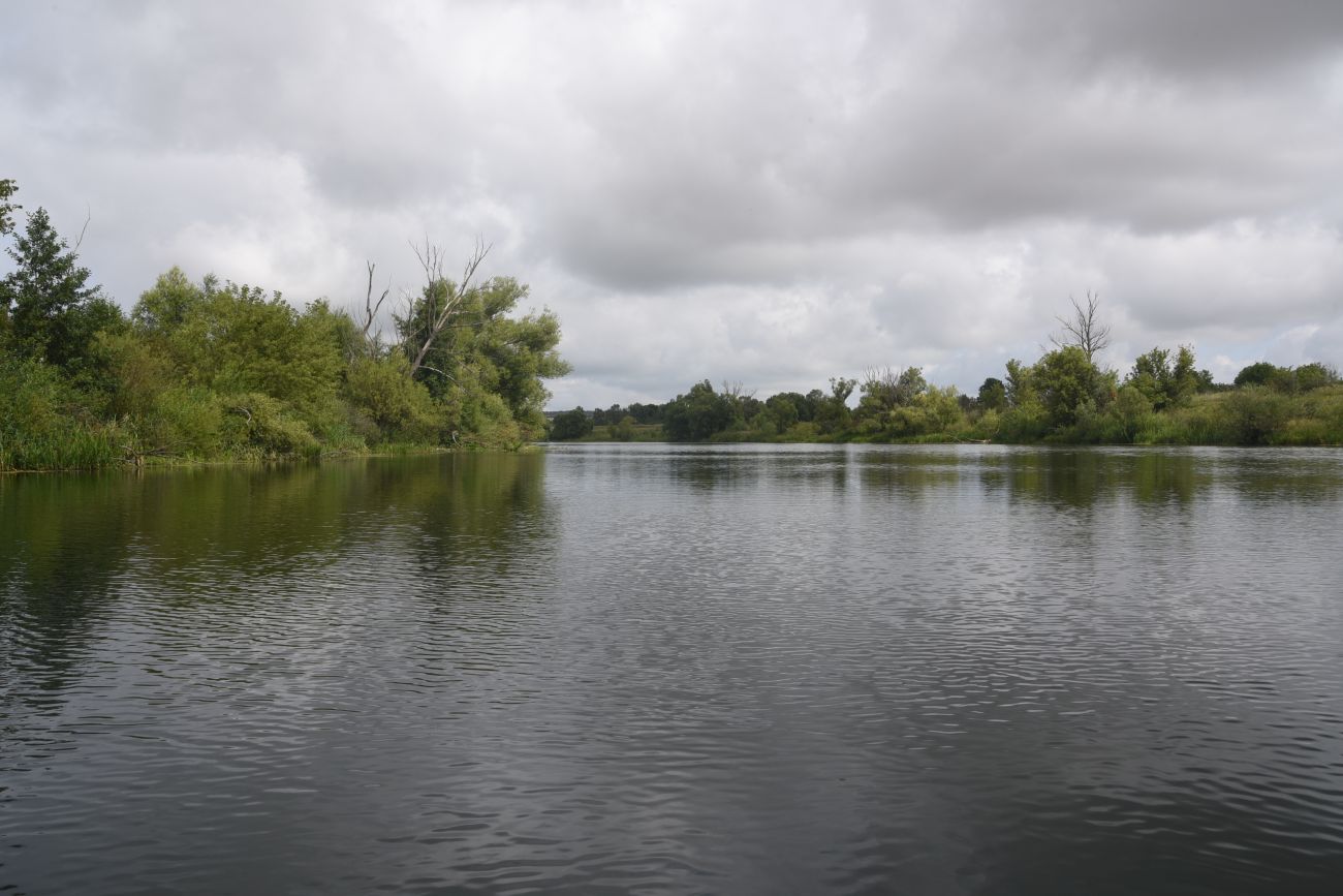 Устье ручья Дубочки, image of landscape/habitat.