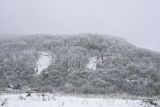 Урочище Холодное, image of landscape/habitat.
