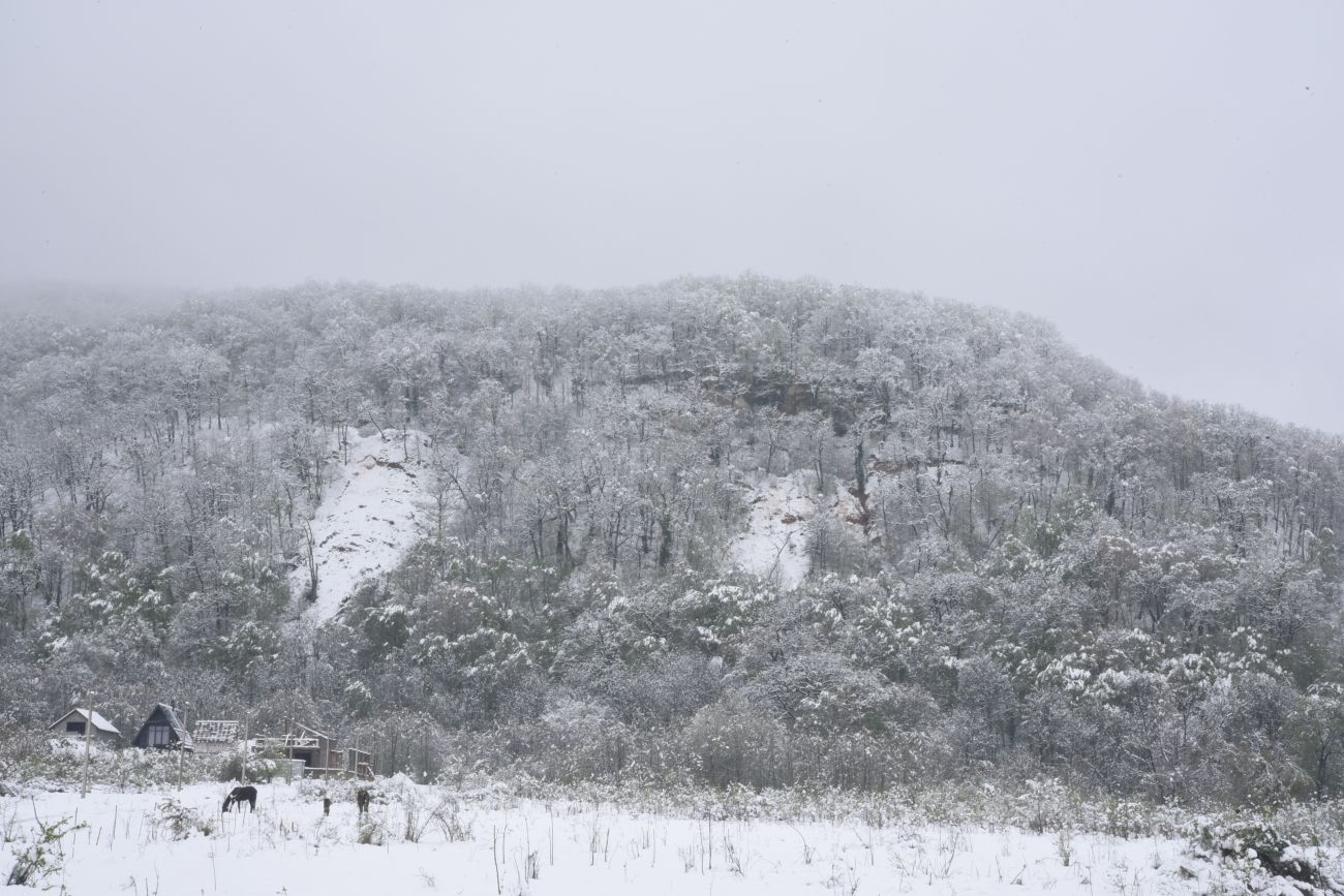 Урочище Холодное, image of landscape/habitat.