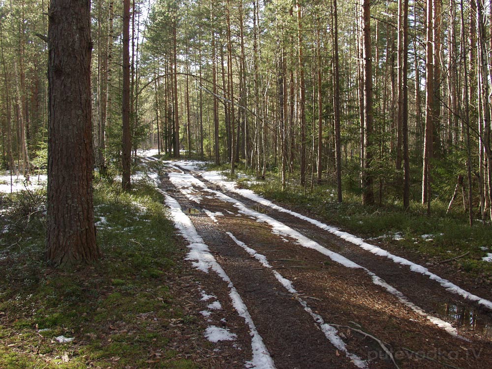 Ларцево, image of landscape/habitat.