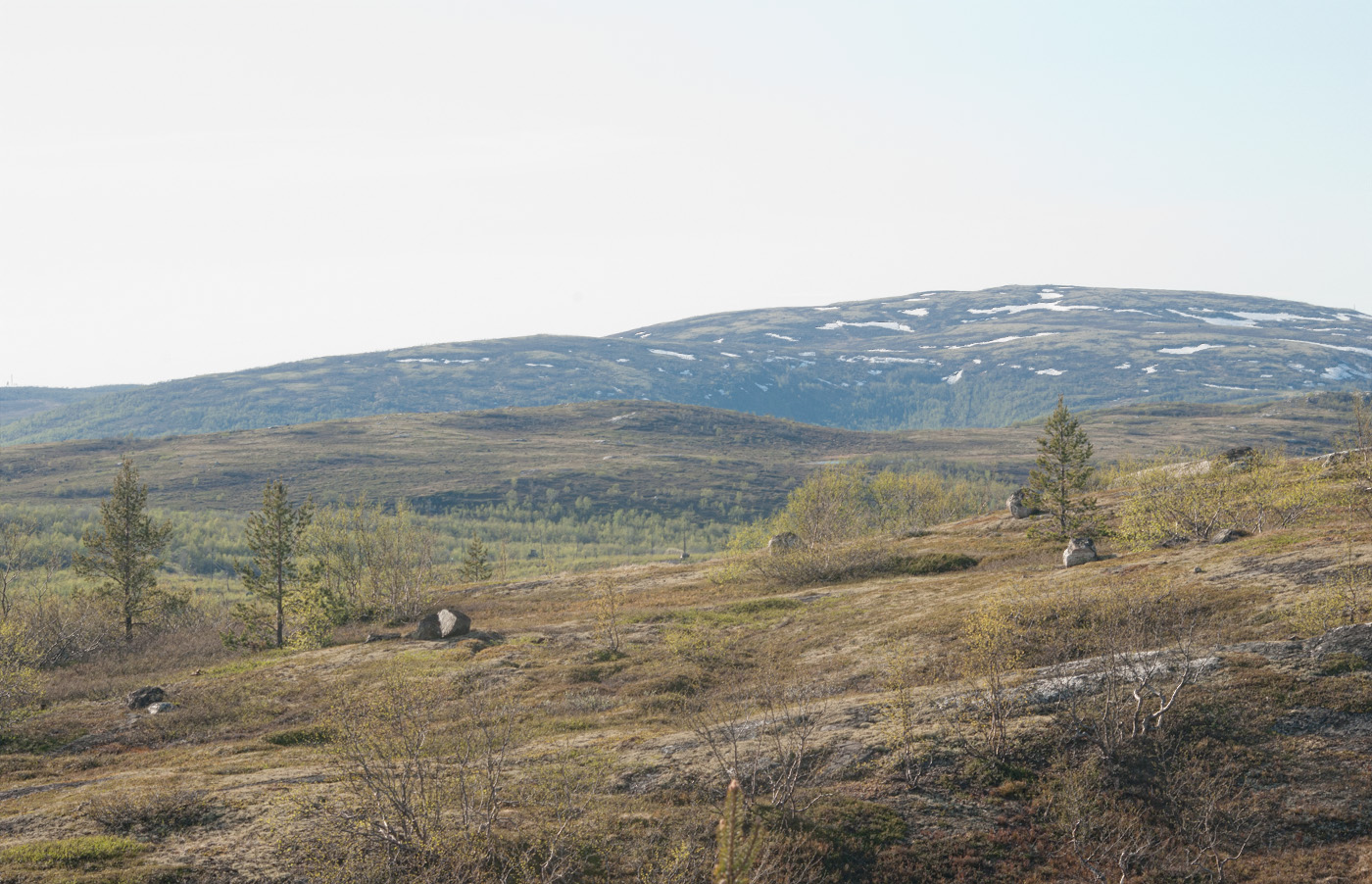 Окрестности Мурманска, image of landscape/habitat.