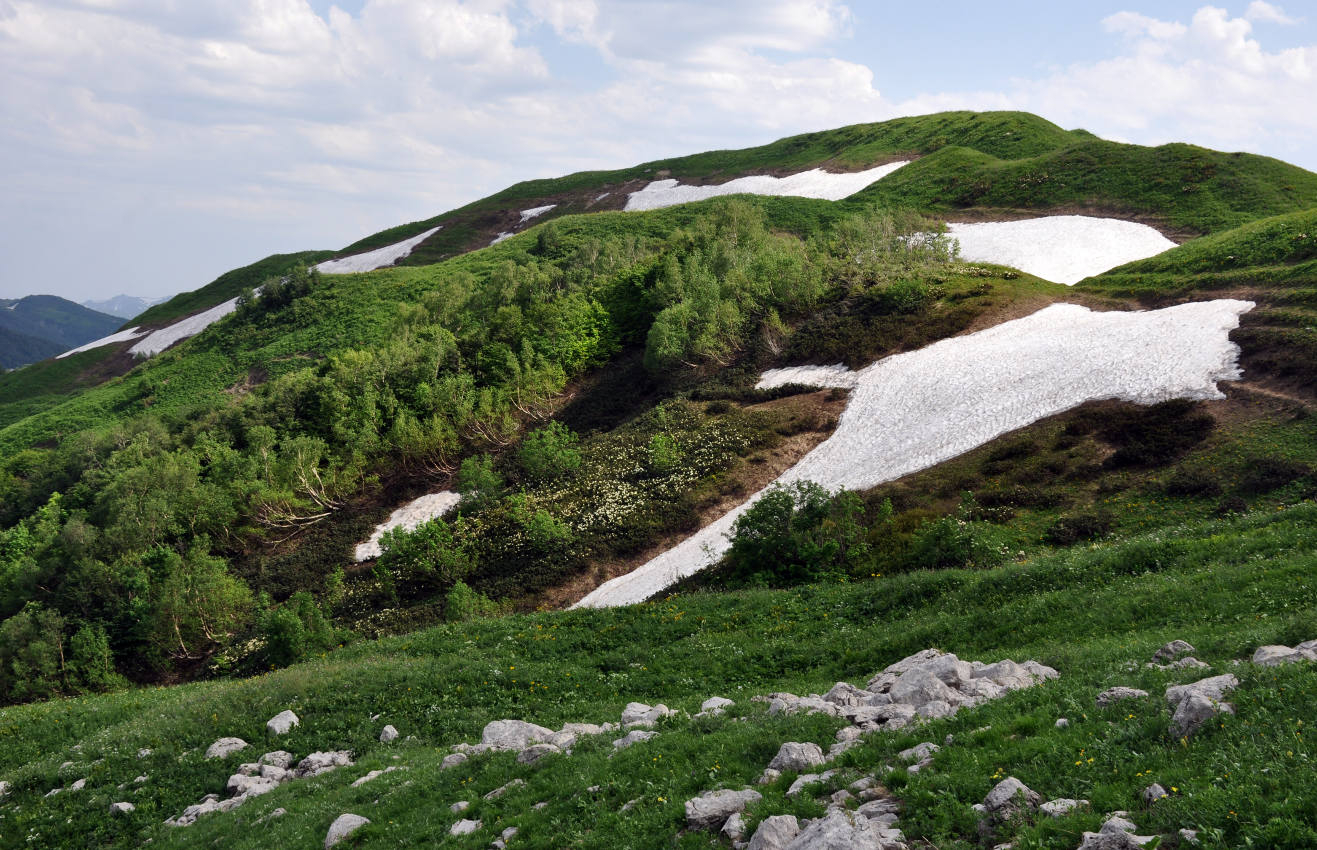 Перевал Армянский, image of landscape/habitat.