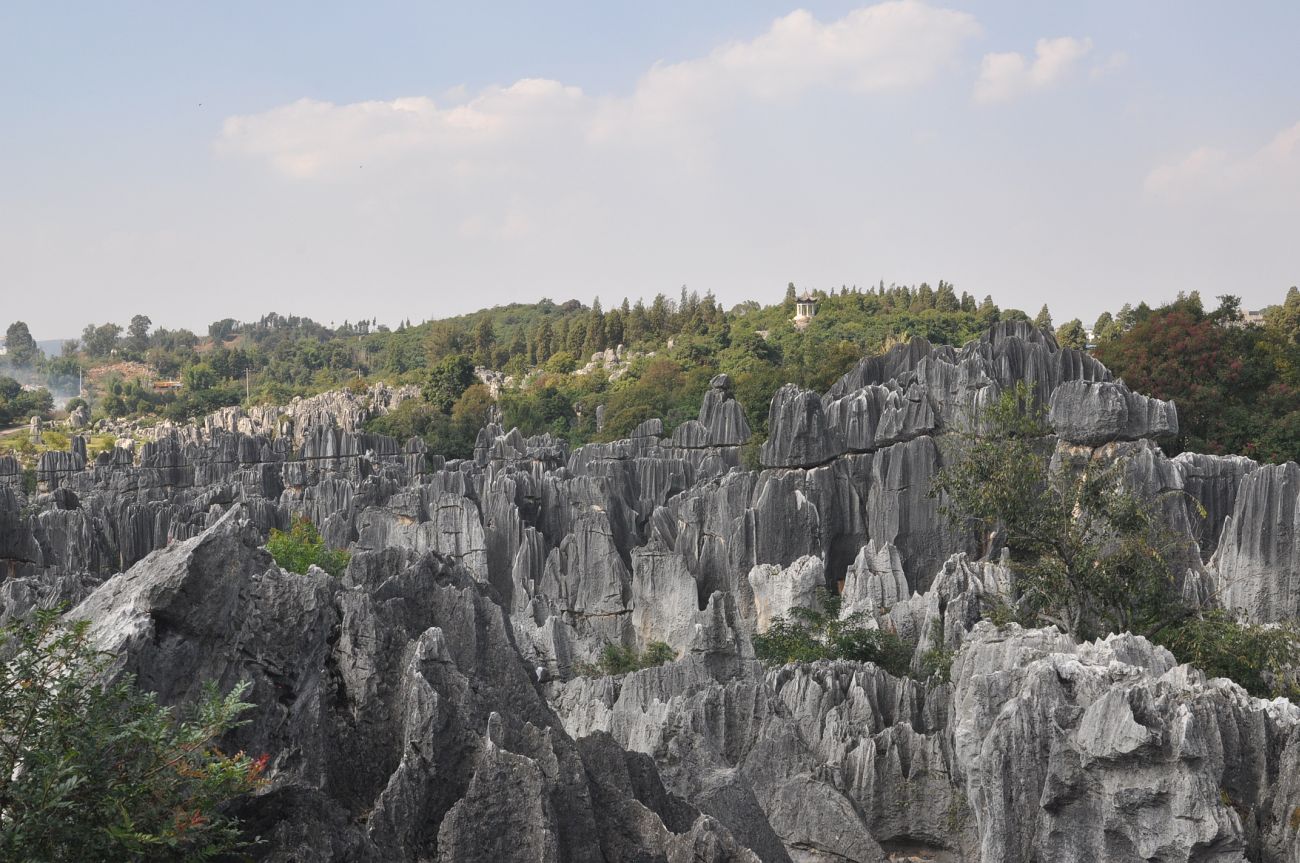 Каменный лес Шилинь, изображение ландшафта.