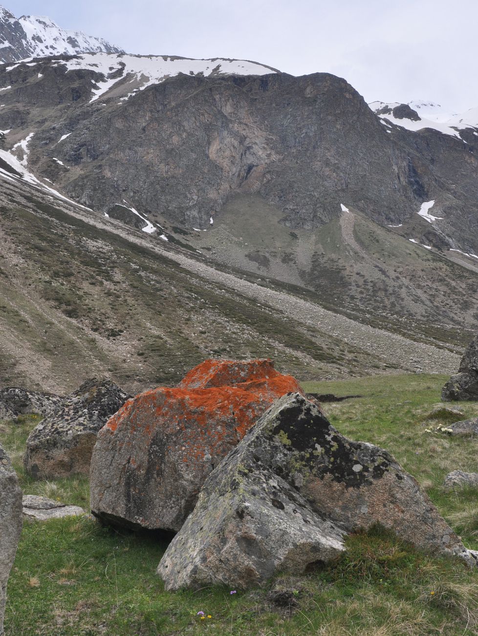 Урочище Экяра, image of landscape/habitat.