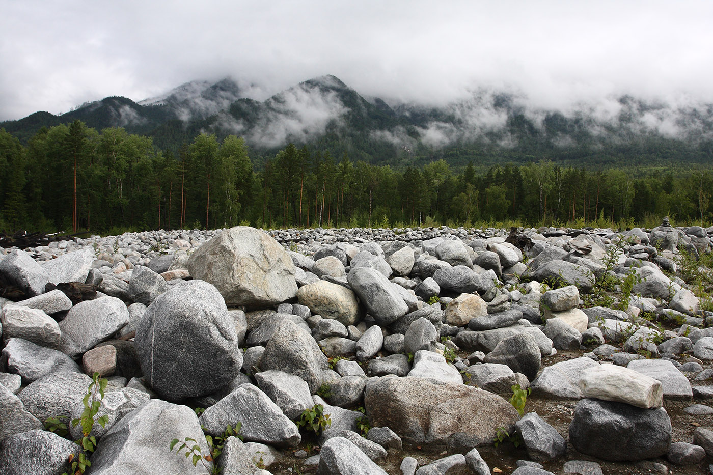 Аршан, image of landscape/habitat.