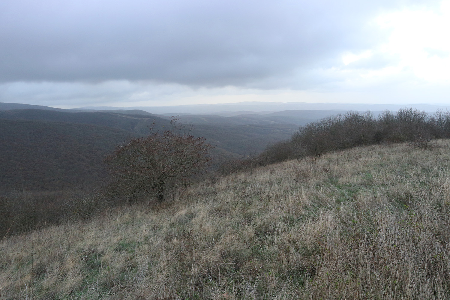 Сапун, image of landscape/habitat.