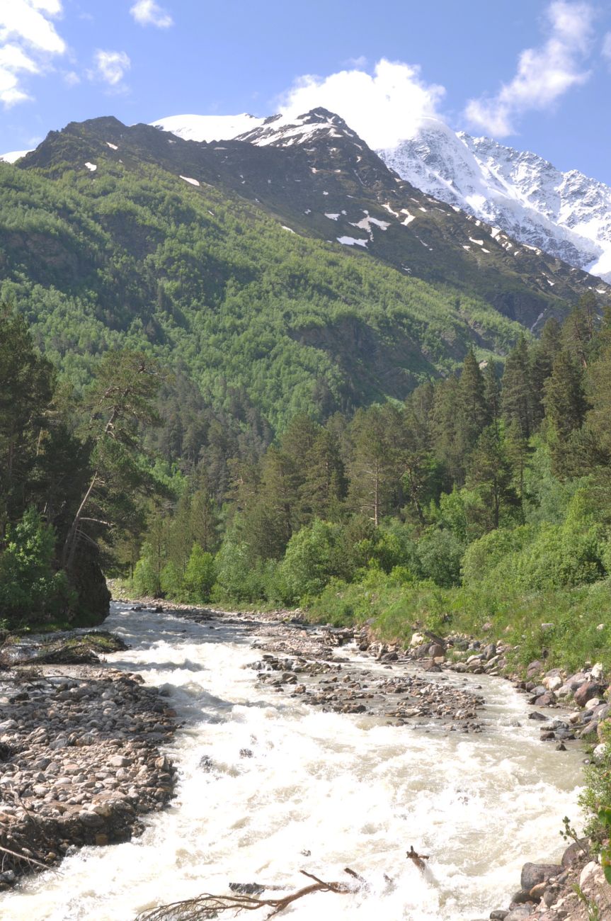 Долина реки Донгуз-Орун, image of landscape/habitat.