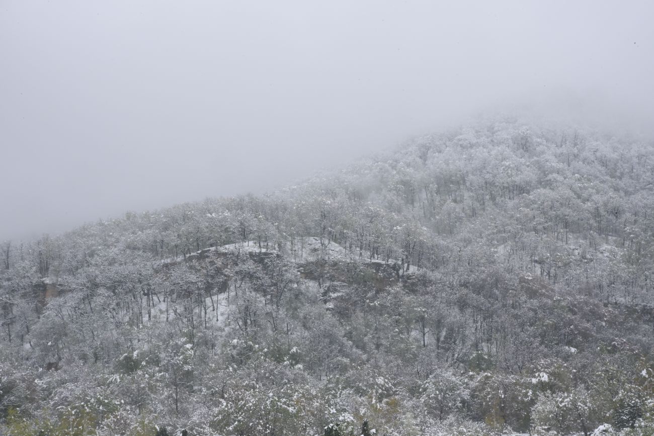 Скала Танковый Люк, image of landscape/habitat.