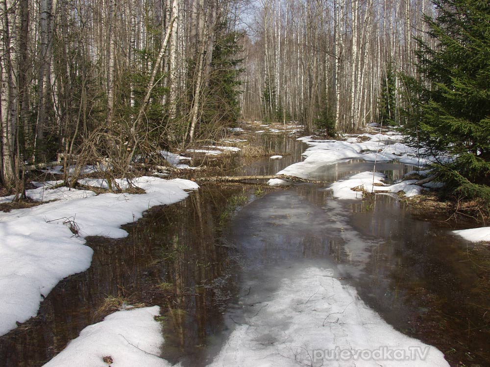 Ларцево, image of landscape/habitat.