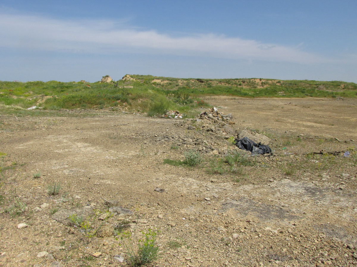 Окрестности Войково, image of landscape/habitat.