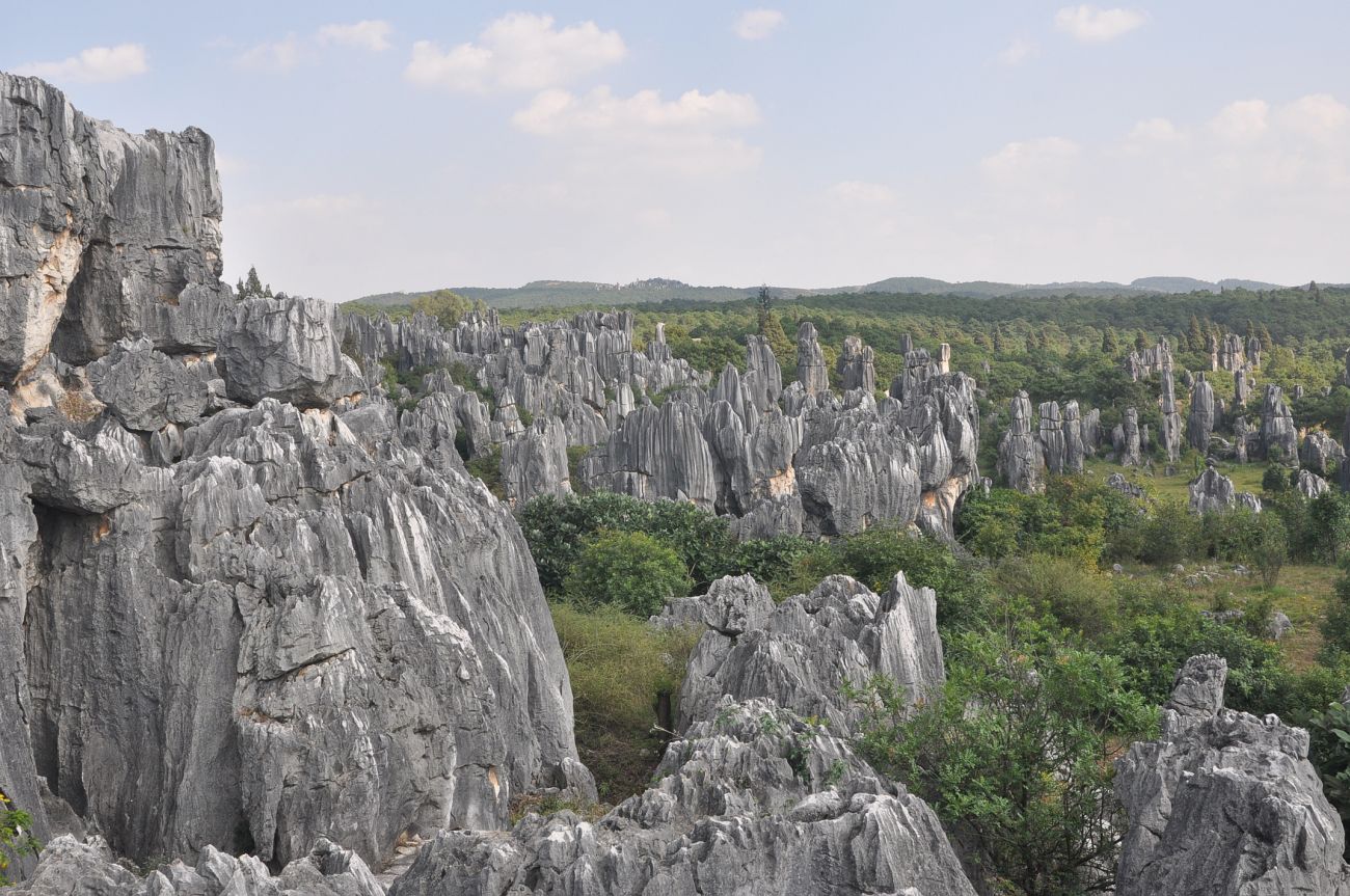 Каменный лес Шилинь, image of landscape/habitat.