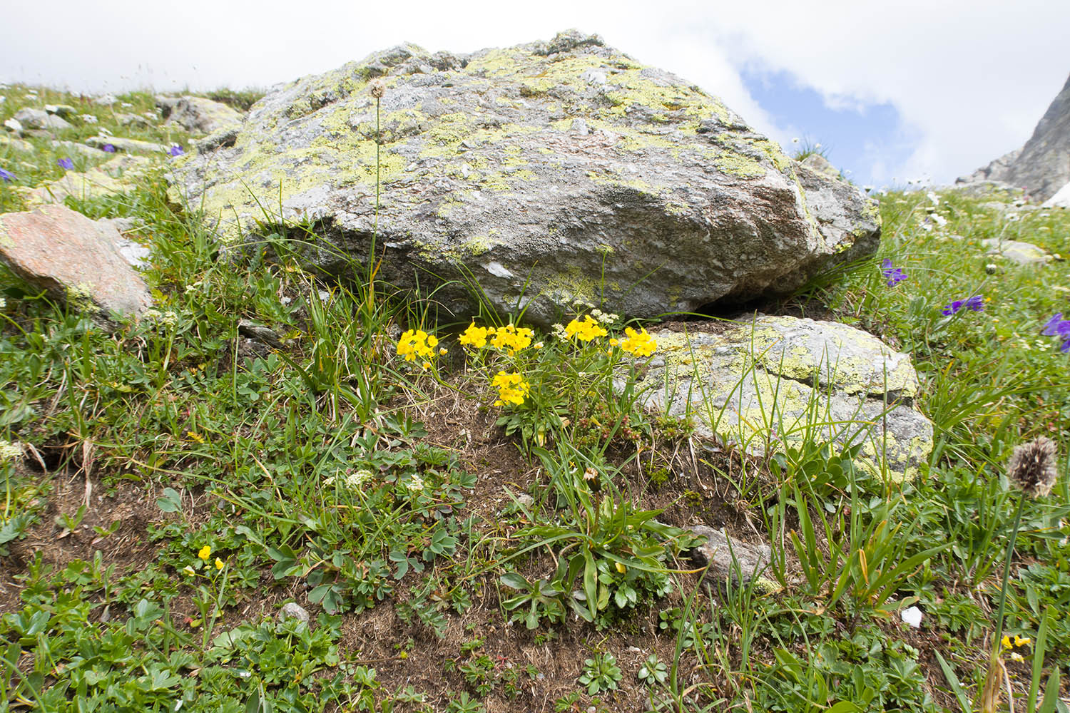 Озеро Географов, image of landscape/habitat.