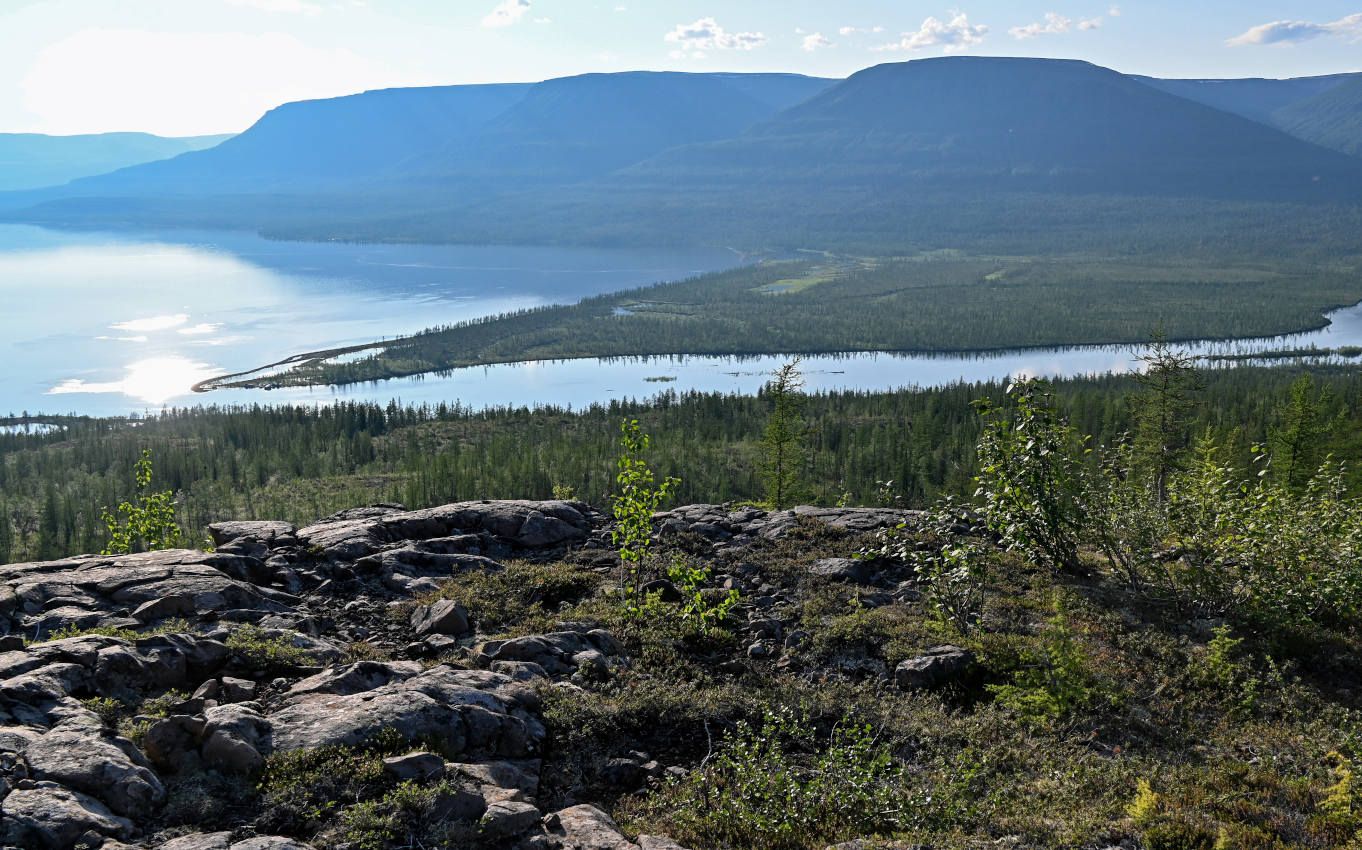 Устье реки Кутарамакан, image of landscape/habitat.