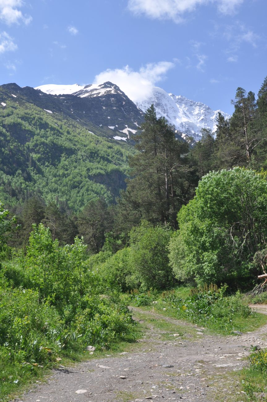 Долина реки Донгуз-Орун, image of landscape/habitat.