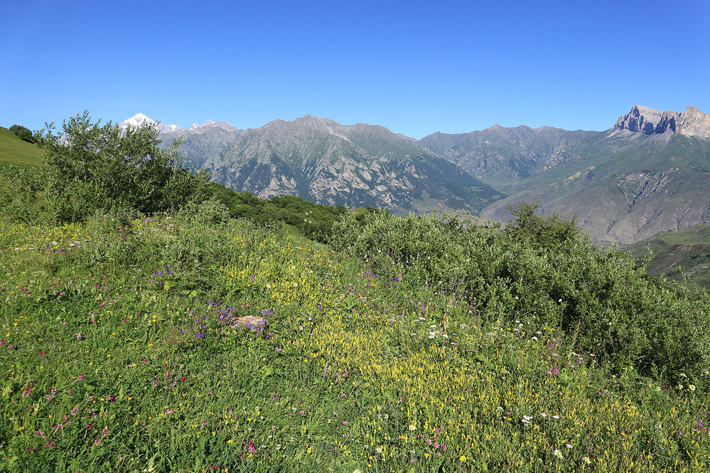 Бекаирбаши, image of landscape/habitat.