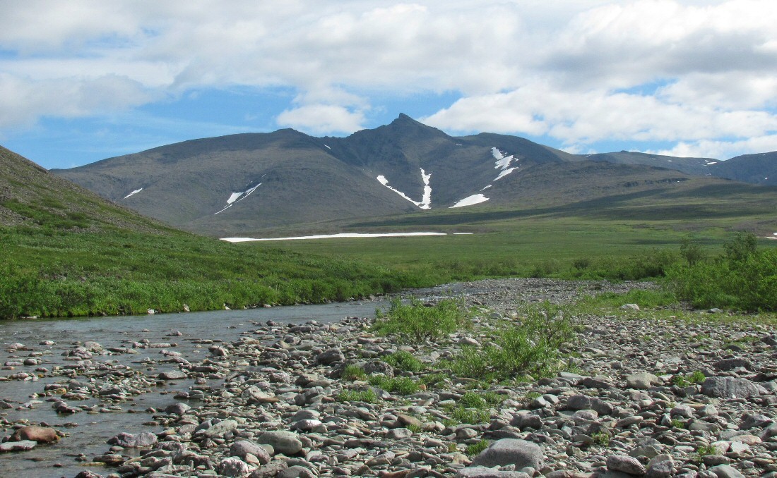 Верховья Нияю, image of landscape/habitat.