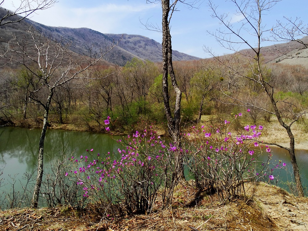 Урочище Щёки (Дарданеллы), изображение ландшафта.