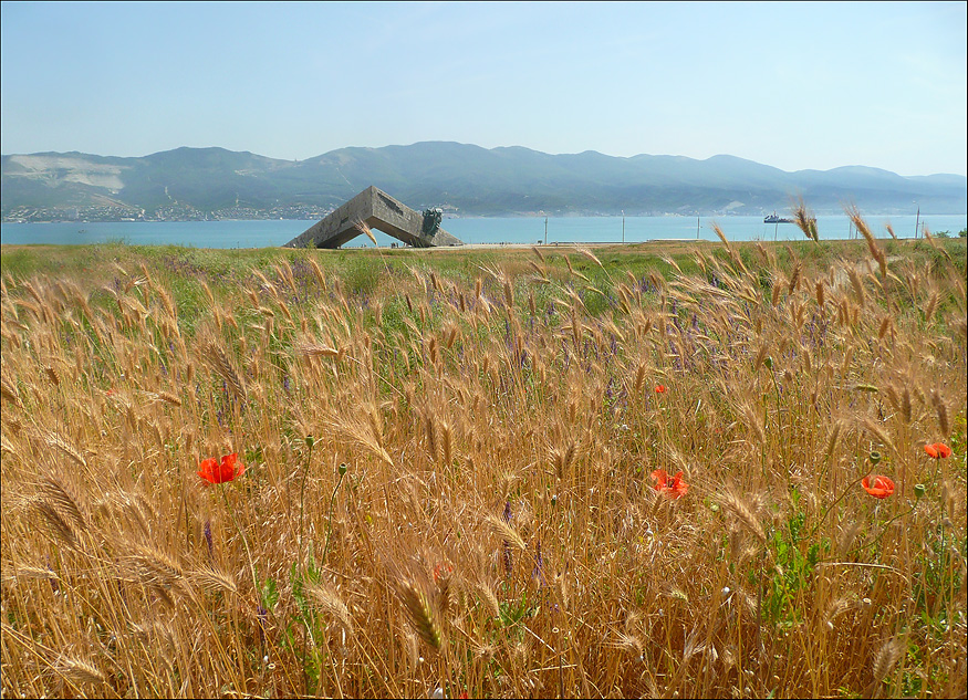 Окрестности Суджукской лагуны, image of landscape/habitat.