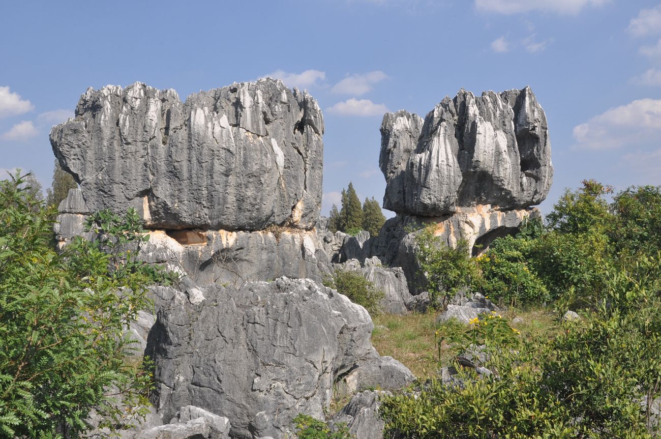 Каменный лес Шилинь, image of landscape/habitat.