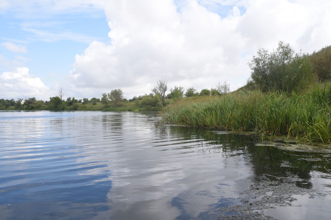 Устье ручья Дубочки, image of landscape/habitat.