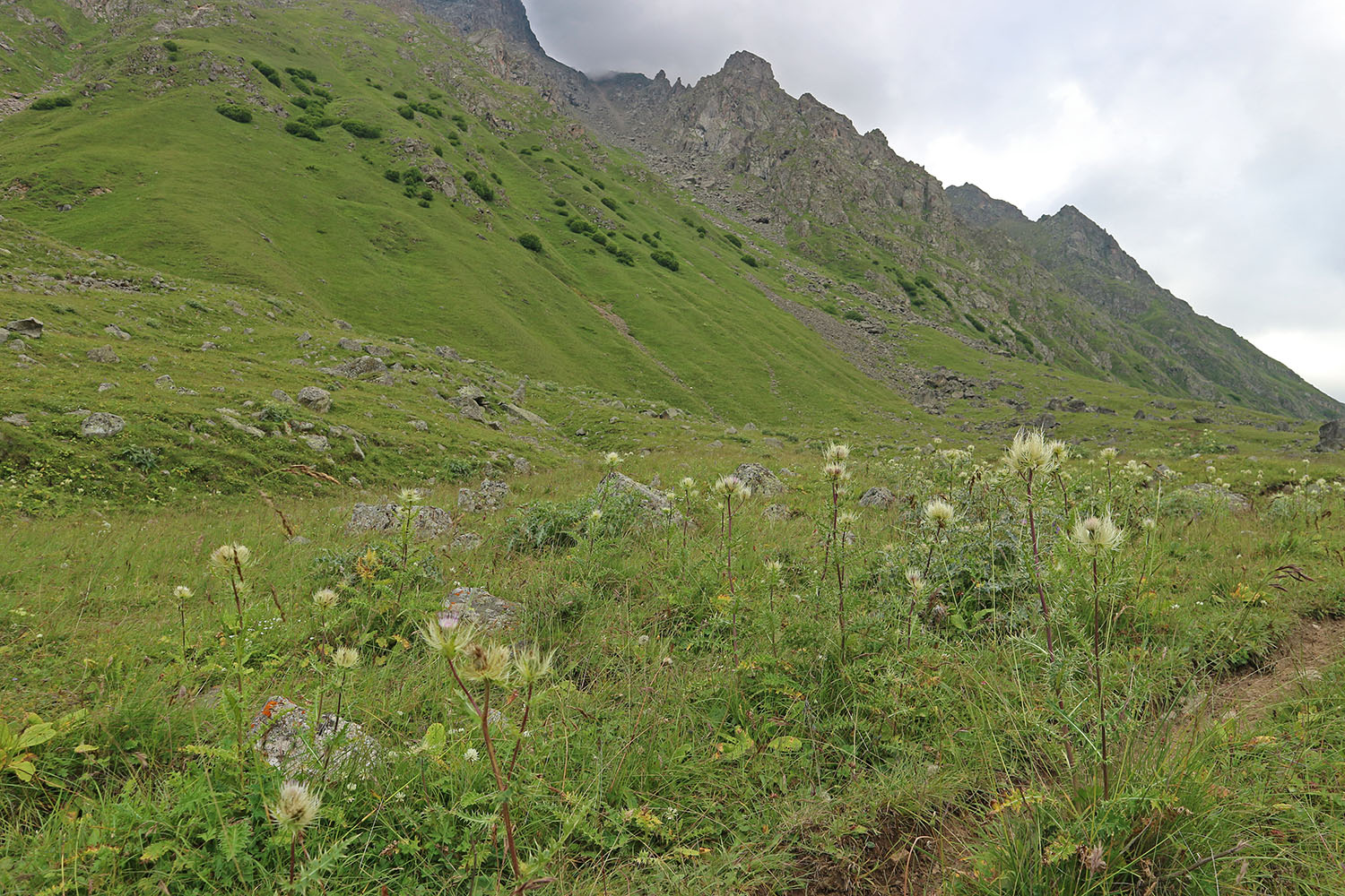 Псыгансу в верхнем течении, image of landscape/habitat.