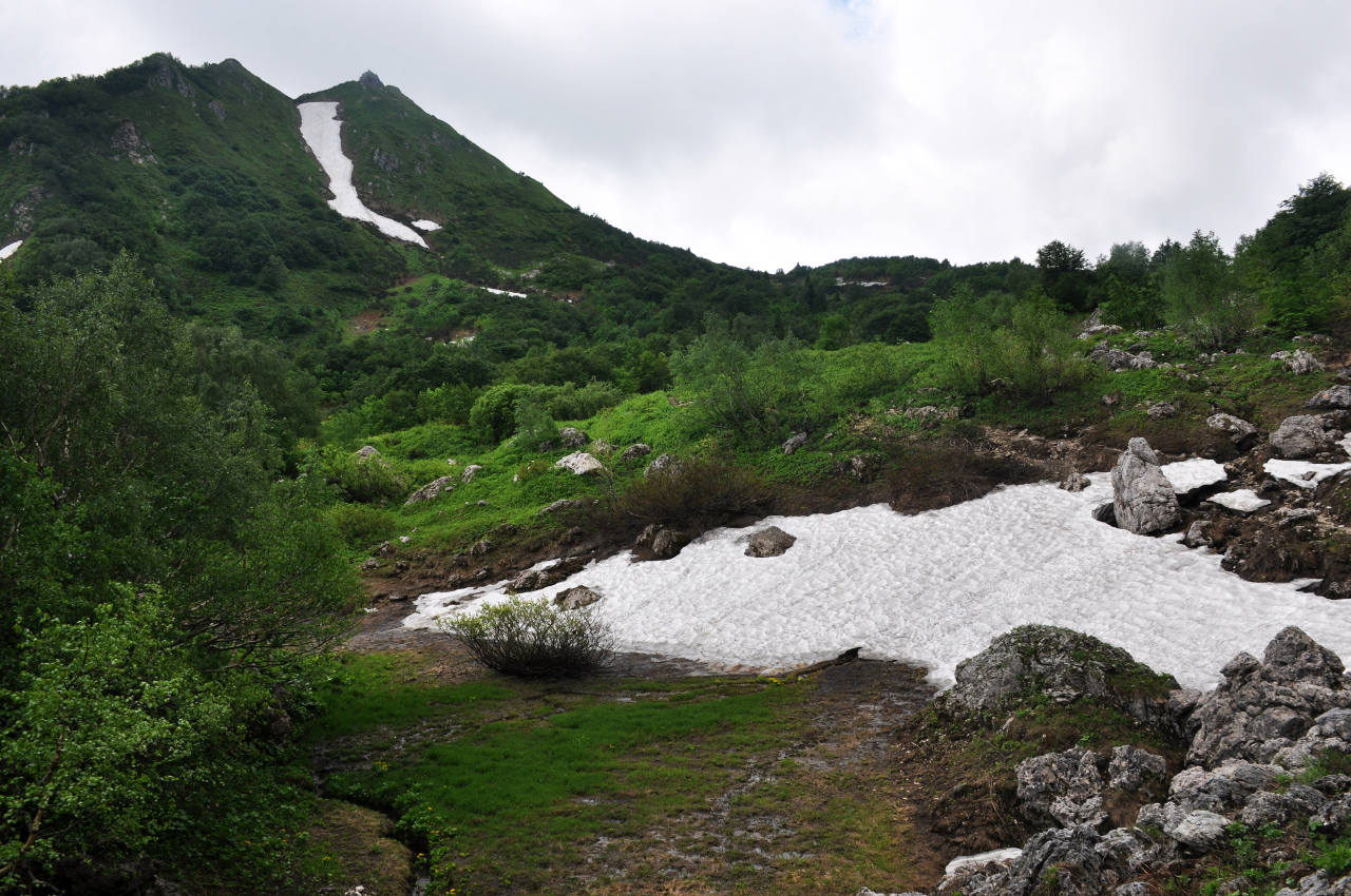 Перевал Белореченский, image of landscape/habitat.