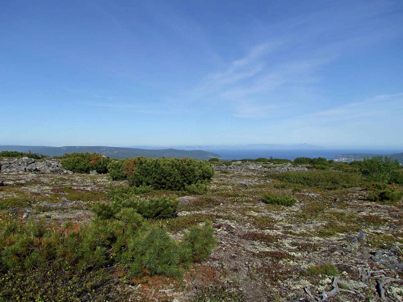 Магадан и окрестности, image of landscape/habitat.