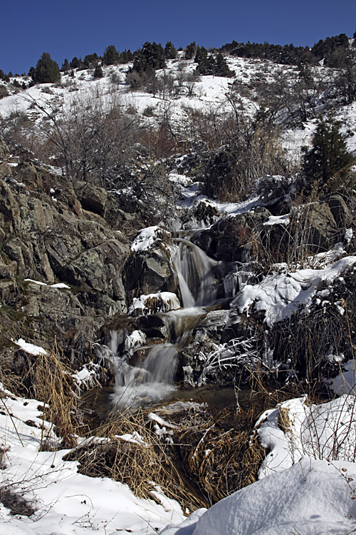 Чаткальский заповедник, image of landscape/habitat.