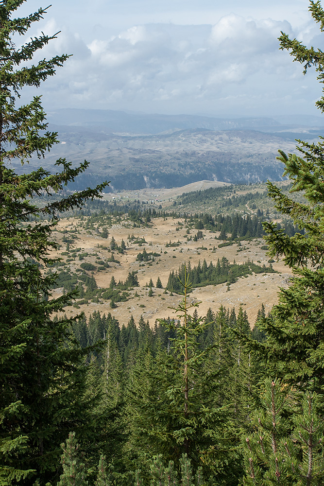 Дурмитор, image of landscape/habitat.