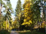 Поселок Ильинский и окрестности, image of landscape/habitat.