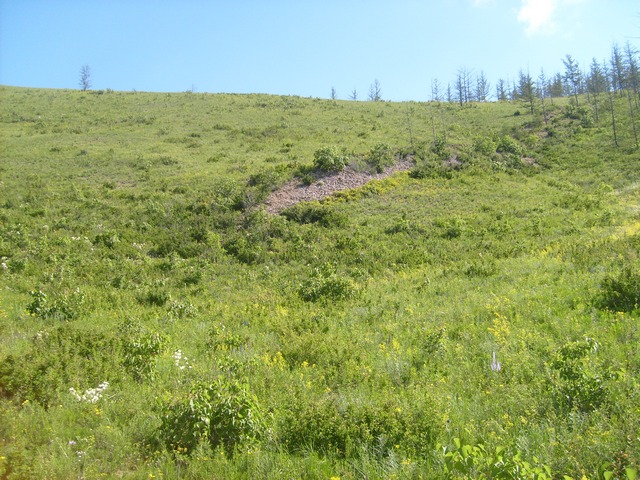 Река Курулга и гора Ундур, image of landscape/habitat.