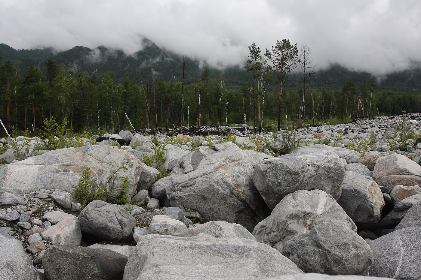 Аршан, image of landscape/habitat.