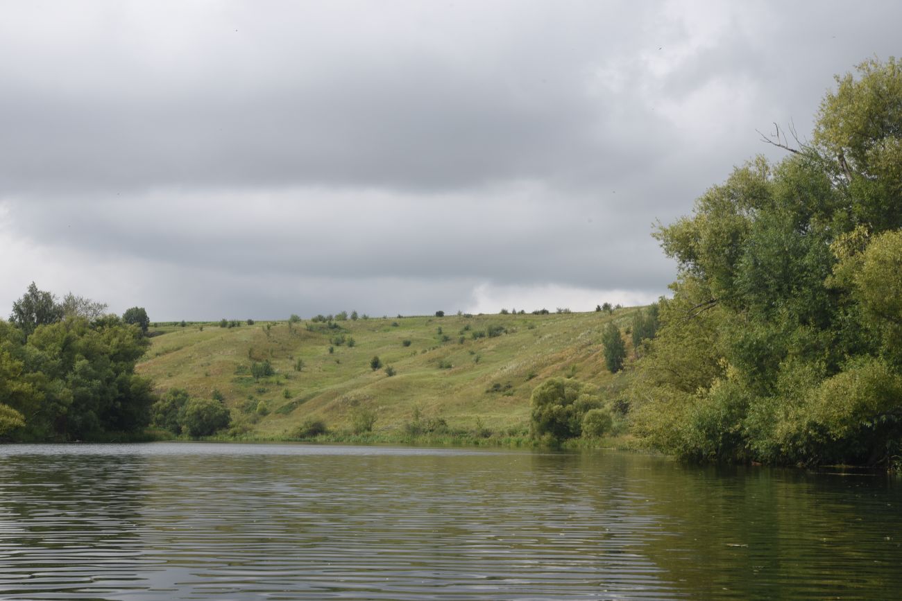 Устье ручья Дубочки, image of landscape/habitat.