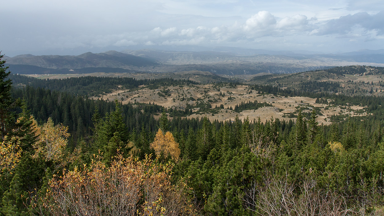 Дурмитор, image of landscape/habitat.